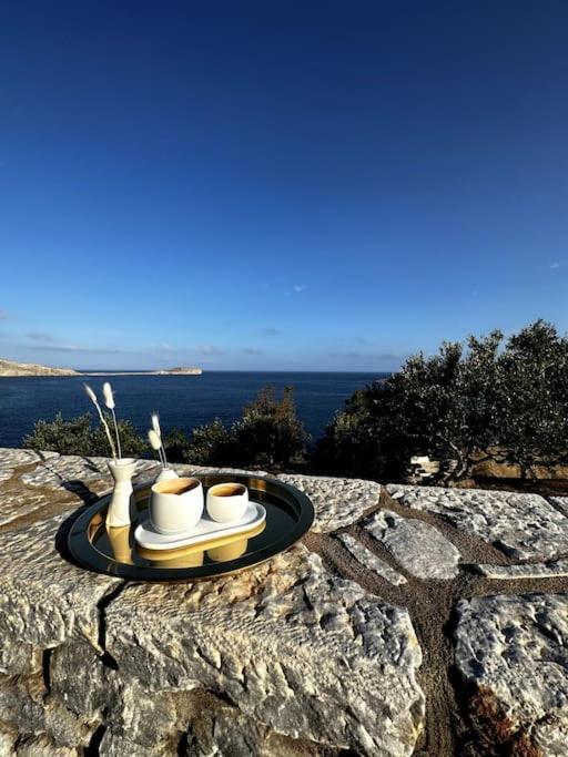 Vila Cozy Cliff Tower W/ Breathtaking Sea Views Agios Georgios Minas Exteriér fotografie